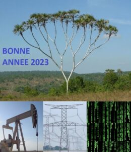 Année numérique 2023 et arbre binaire